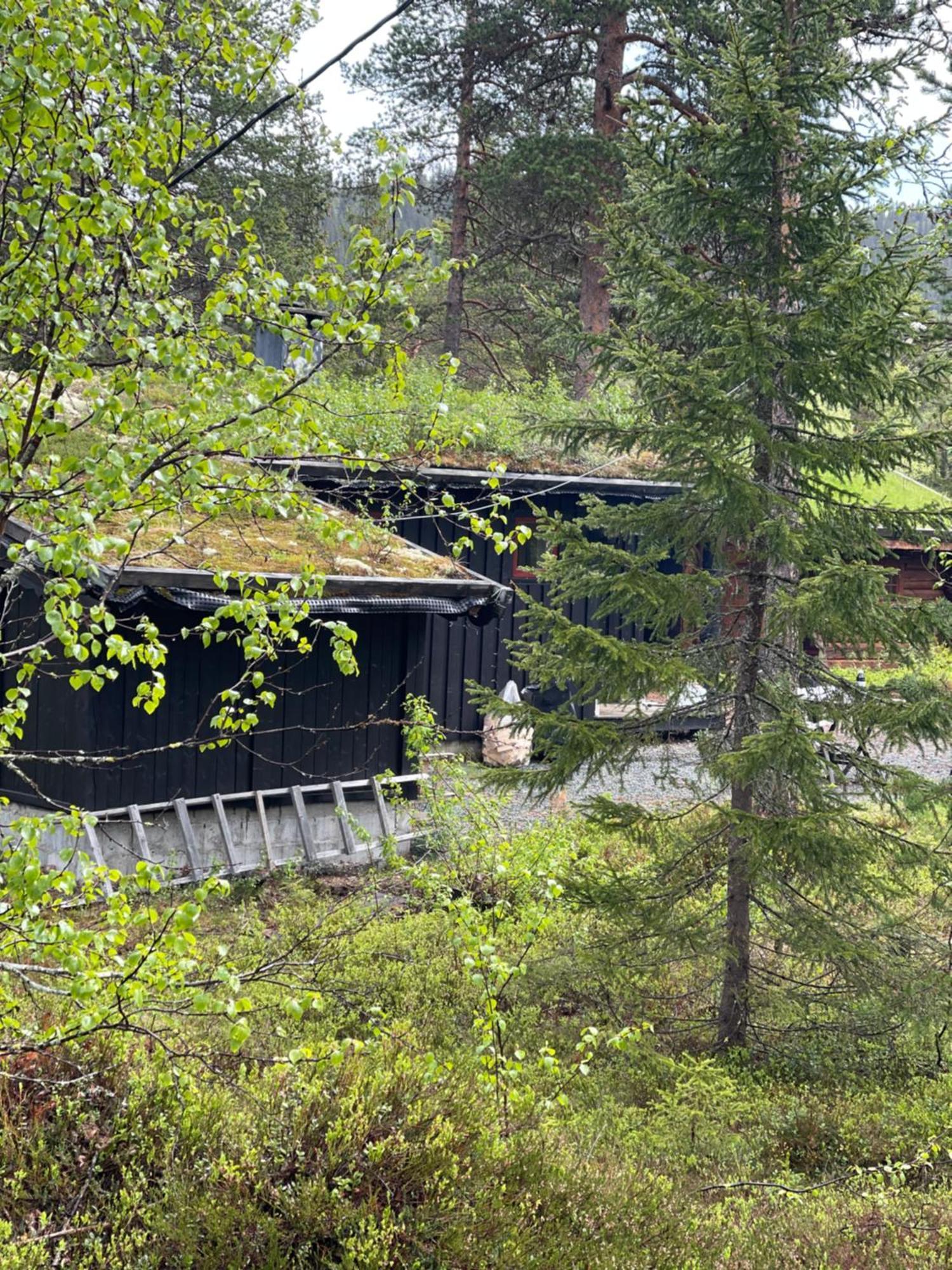 Hytta Pa Oyfjell Villa Екстериор снимка