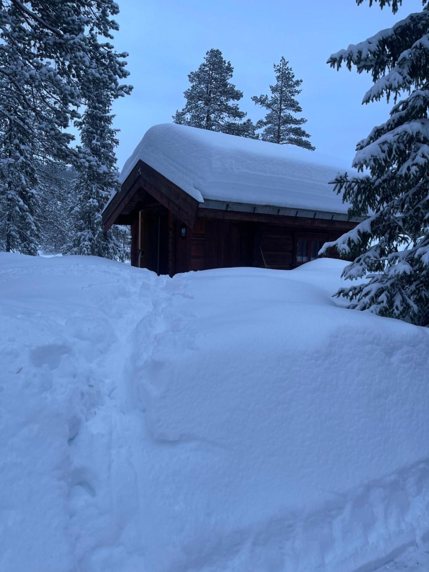 Hytta Pa Oyfjell Villa Екстериор снимка