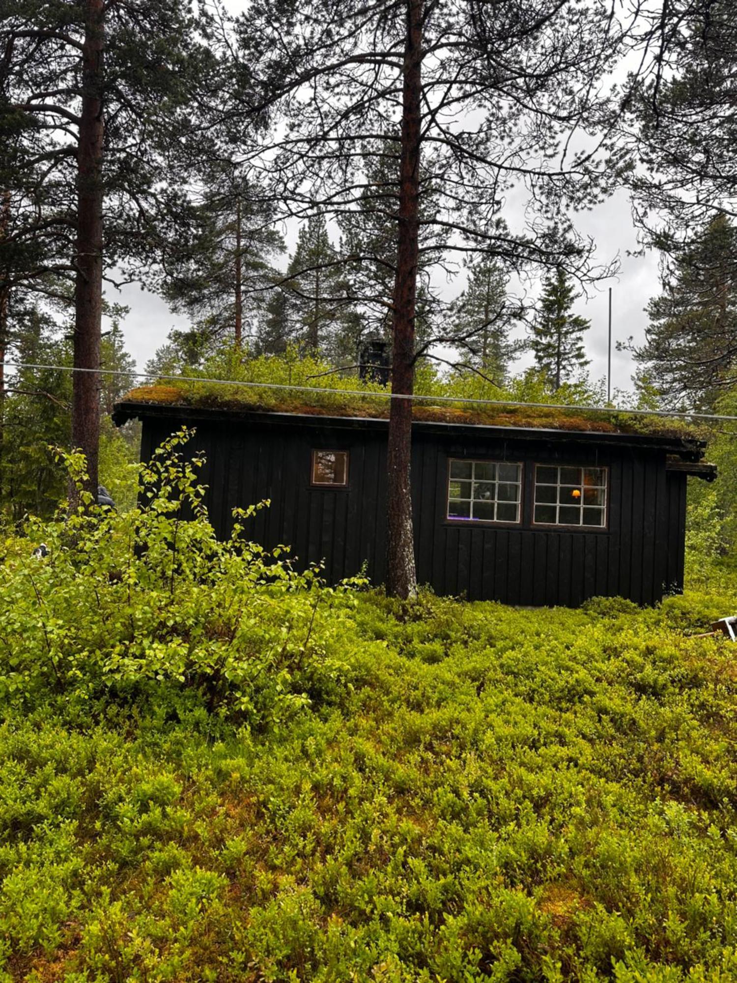 Hytta Pa Oyfjell Villa Екстериор снимка