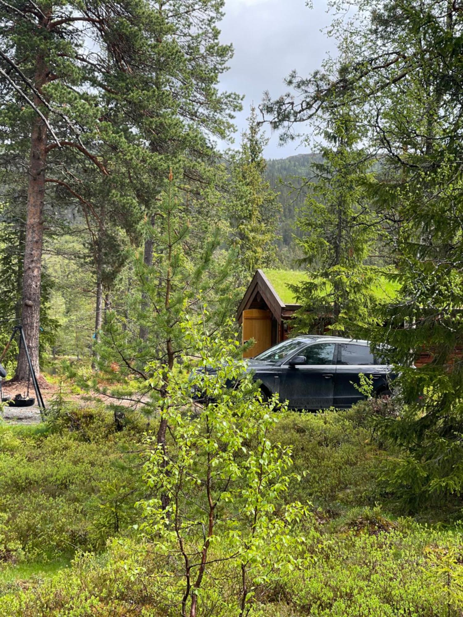 Hytta Pa Oyfjell Villa Екстериор снимка