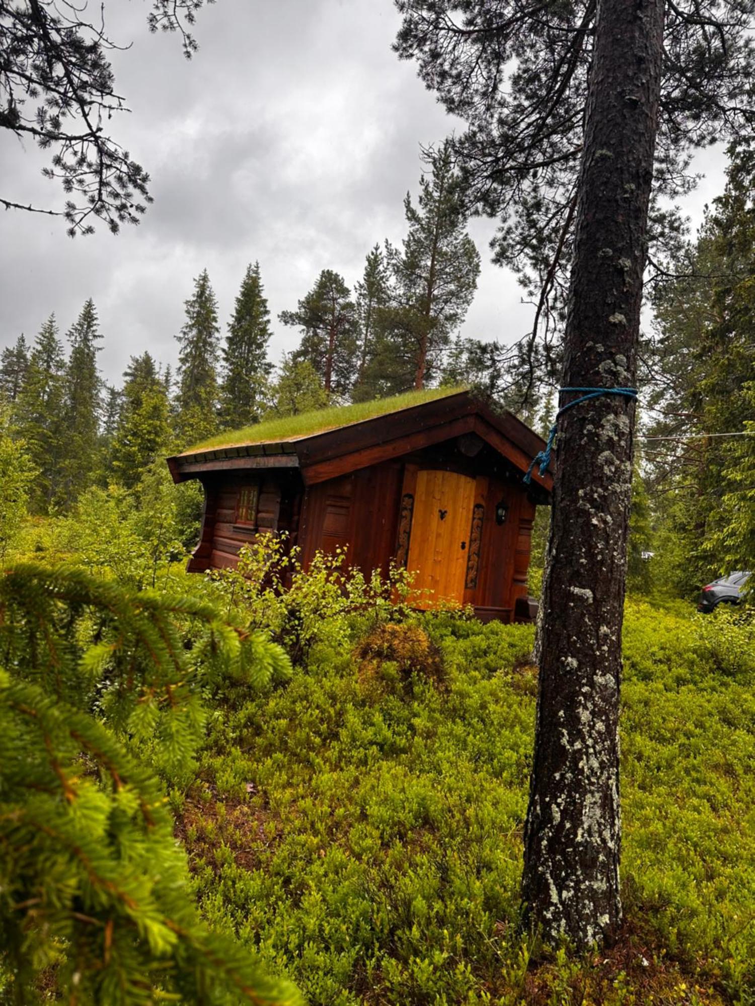 Hytta Pa Oyfjell Villa Екстериор снимка