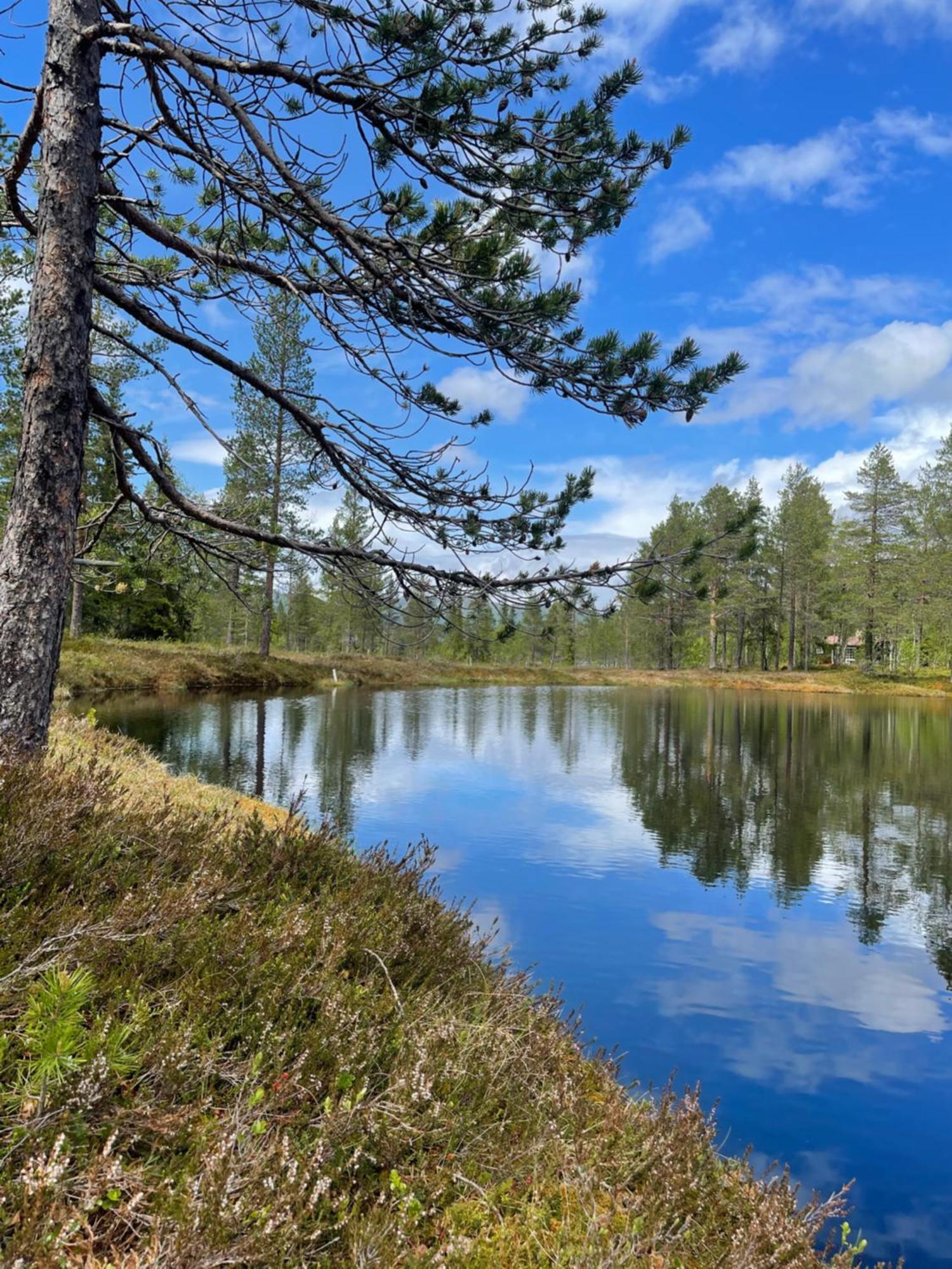 Hytta Pa Oyfjell Villa Екстериор снимка