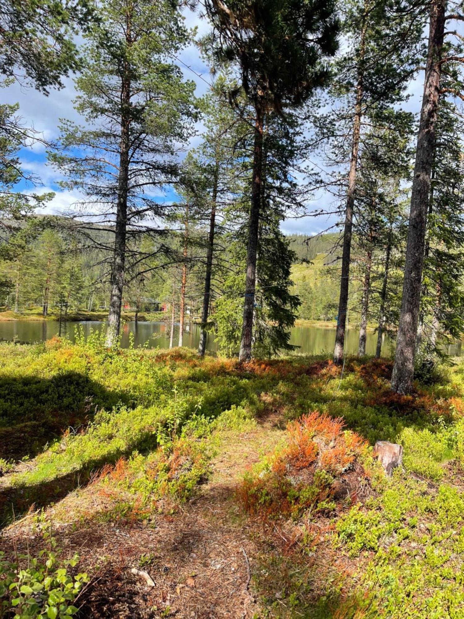 Hytta Pa Oyfjell Villa Екстериор снимка
