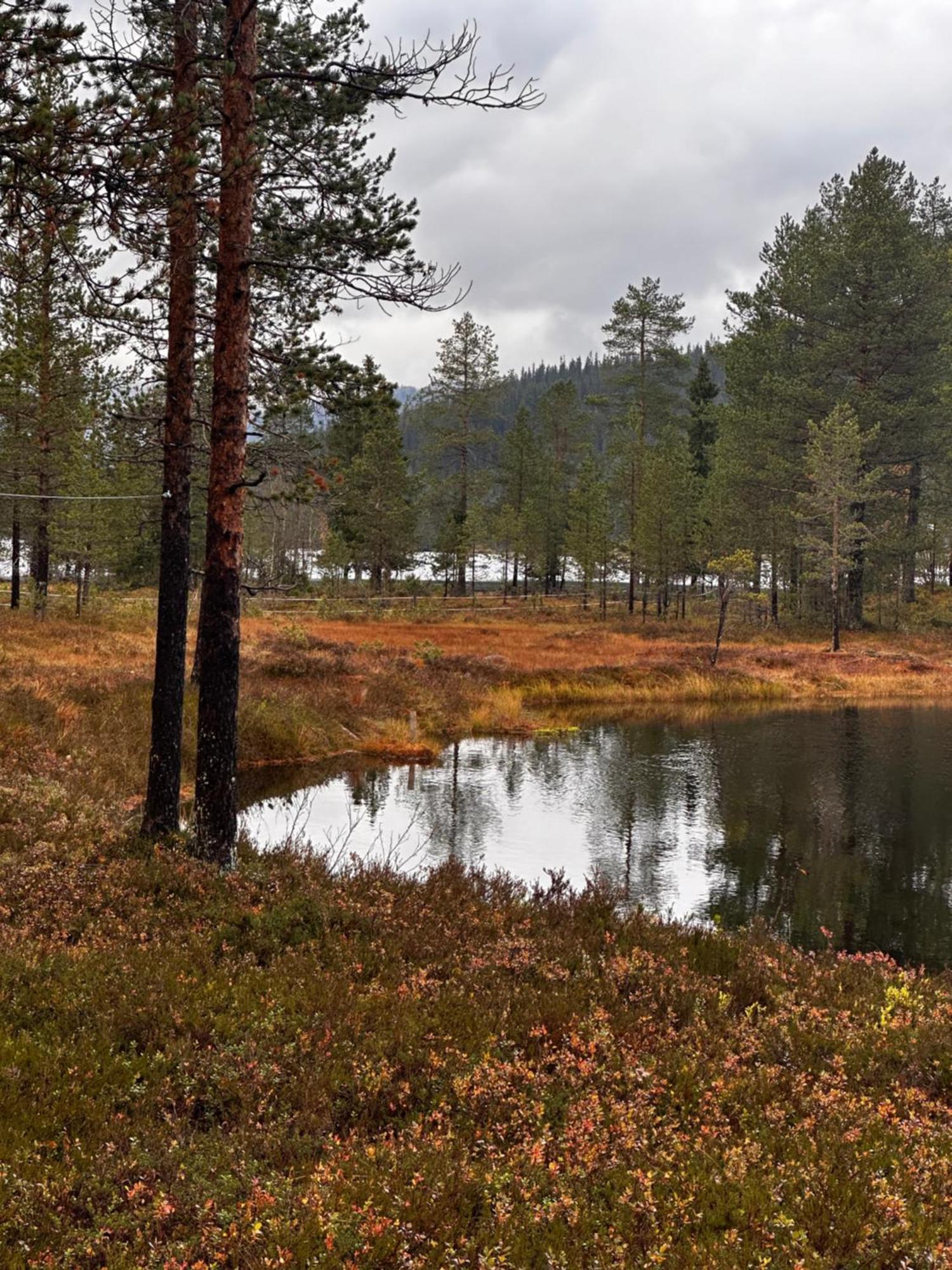Hytta Pa Oyfjell Villa Екстериор снимка