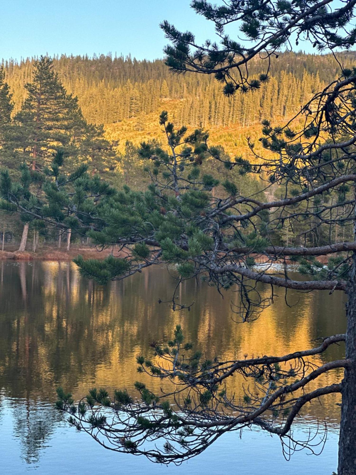 Hytta Pa Oyfjell Villa Екстериор снимка