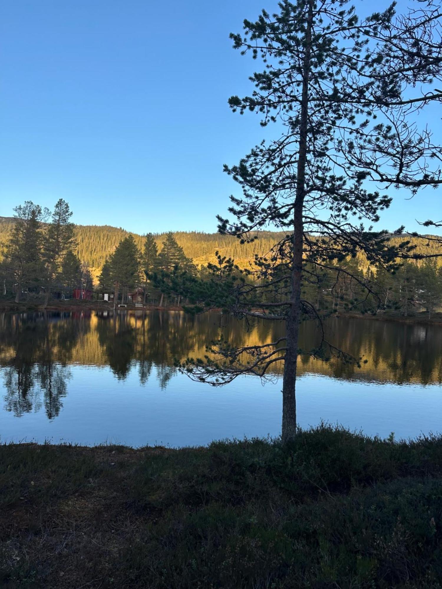 Hytta Pa Oyfjell Villa Екстериор снимка